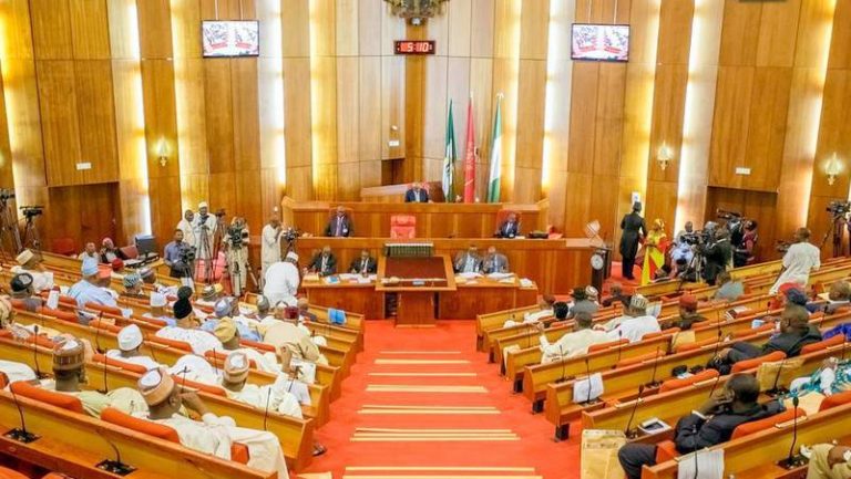 Lawmakers Expressed Shock Over Non-Inclusion of $5.8bn Mambilla Power Project in 2021 Budget