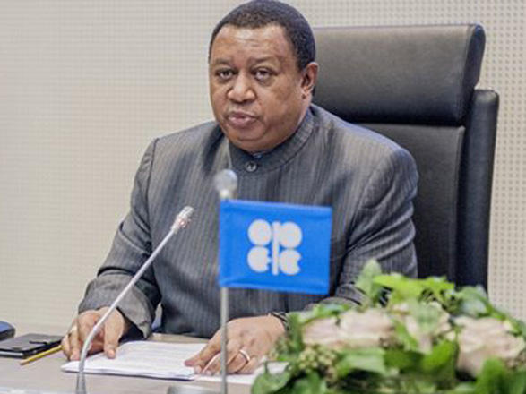 OPEC Predicts Robust Oil Demand by 2025