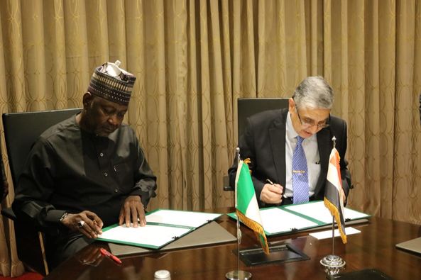 Nigeria, Egypt Sign Pact On Electricity Sector Development